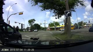 Dog Jumps From Car Stopped at Intersection