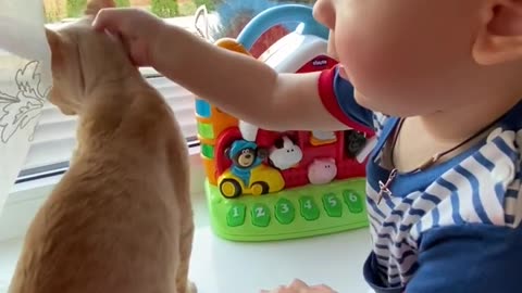 Baby and Cat | How To Find Short Videos | #shortsfeed # Shorts