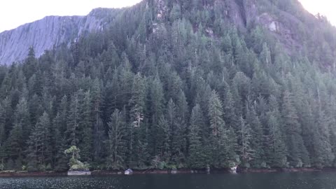 Seaplane lands on a lake