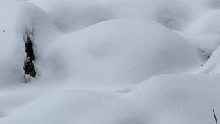 Snow covered rocks.