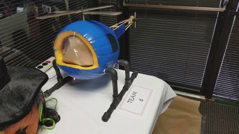 Science project turns pumpkin into mini helicopter