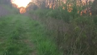 Just walking down a field path pt2