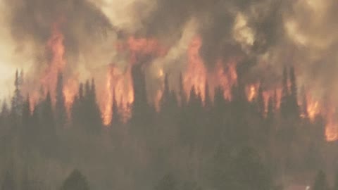Wyoming Forest Fire