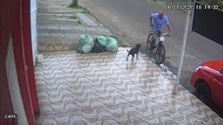 Instant Karma for Unkind Cyclist