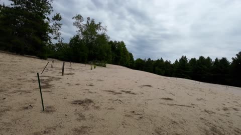 Pinhey Sand Dunes Ottawa