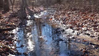 Natural Spring in the Woods