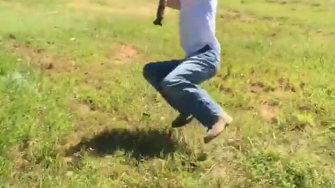 Kid trying out rope swing swings into tree branch bush