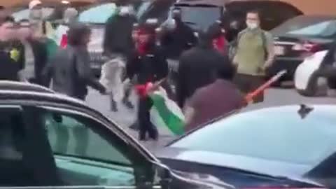 Pro-Palestinian Protestors Assault Pro-Israel Protestors!!
