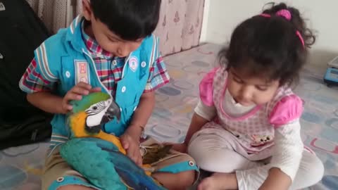 Two cute babies playing with parrot