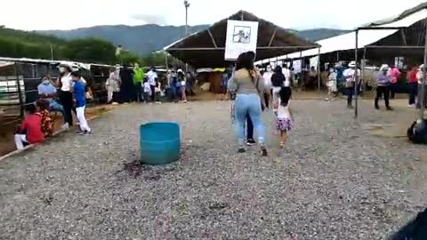 Feria Ganadera en Bucaramanga