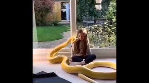 Teen Girl Playing With Python