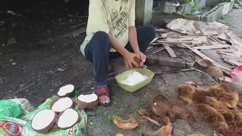 TWO TYPE OF HOW TO SHRED & EXTRACT THE COCONUT