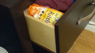 Sneaky Cat Steals A Snack