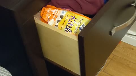Sneaky Cat Steals A Snack