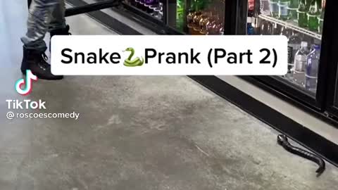 Snake prank1