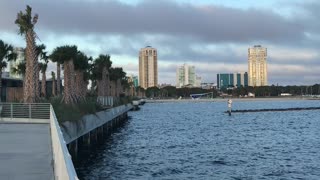 A pan of downtown Saint Petersburg from the pier