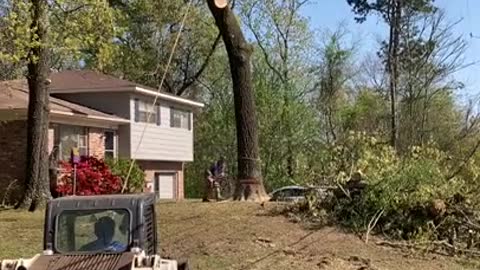 Tree Cutting Fail in Alabama