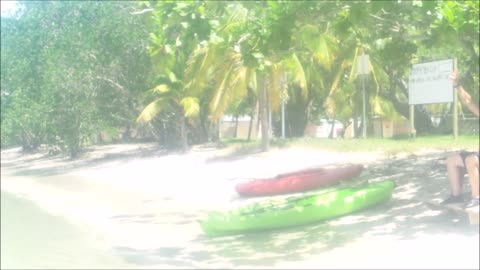 Kayaking en Boquerón Puerto Rico