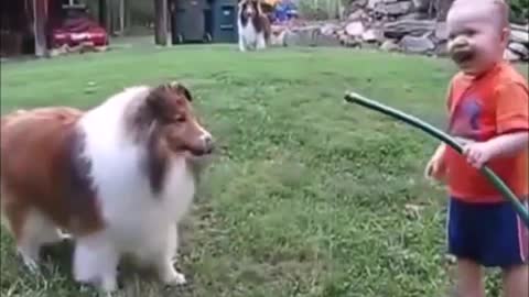 Try Do Not To Laugh.Funny Dog And Cat Videos
