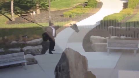 geese fight with humans