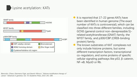 Protein Acetylation