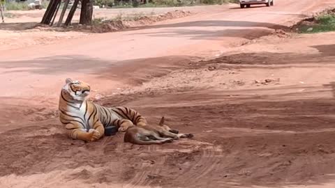 Fake tiger prank on dog 🐕
