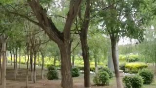 Small park near home with beautiful scenery