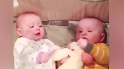 Twins Baby Playing Together Cute Baby Video