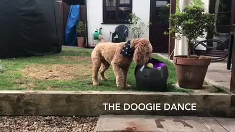 The Doogie Dance