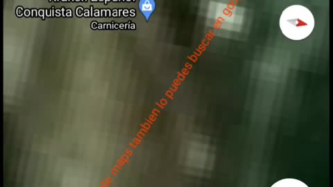 video de un pulpo gigante que aparece en google maps