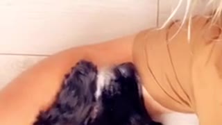 Dog chokes on hairball rather than share owner with tortoise