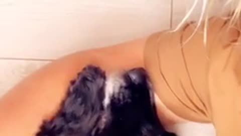 Dog chokes on hairball rather than share owner with tortoise