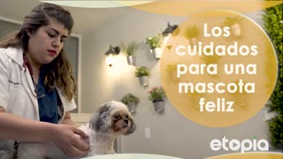 Los cuidados para una mascota feliz