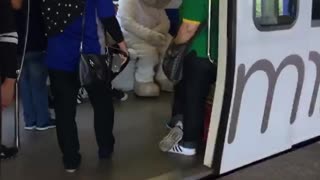 Person in giant white bear costume train