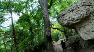 Chestnut Mtn. Blue DH Trail