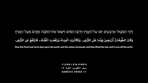 Hezbollah publishes a video with the message from Genesis 7