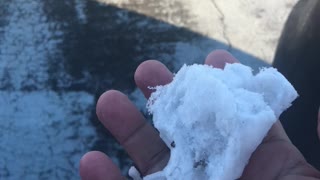 Small snow ball in Florida