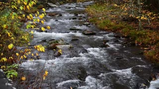 Flowing Stream