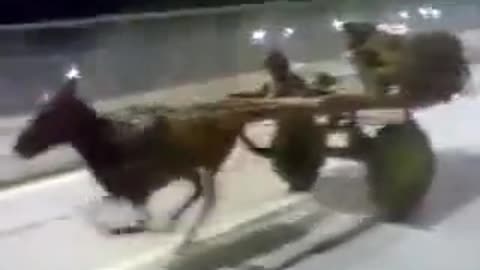 Super fast Horse