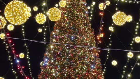Main Christmas Tree Of Ukraine