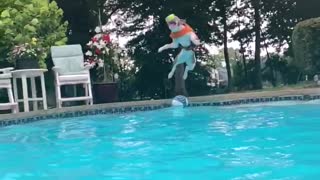 Athletic dog jumps into pool while catching tennis ball in mid air