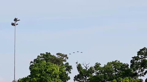 493rd Fighter Squadron Commander Lt. Col. Todd Pearson "Kage" Memorial Flyover
