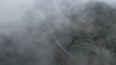 Above View of a Misty Forest