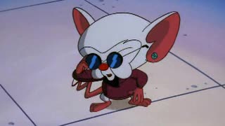 Pinky e o Cerebro - Temporada 01 - Episodio 15 - Figurinha do Cérebro