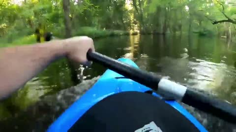 Kayaker gets a surprise!