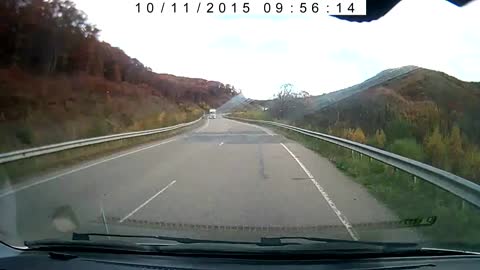 Driver in Russia nearly misses tiger on road