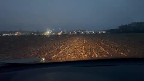 Corn Field Set
