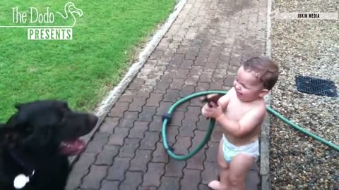 Baby laughs at dog😍😍😍