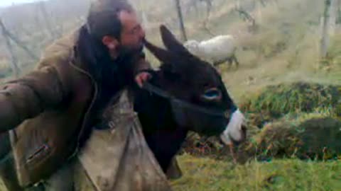 The man opens the donkey in love and kisses it