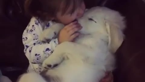 This is Why every Child should grow up with a dog